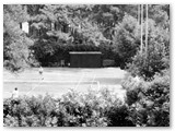 Tennis in pineta