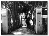 1964 - L'ingresso al parco della villa dalla pineta