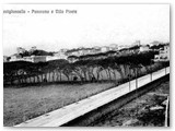 1916 - Via del Littorale. La pineta  ancora da fare.