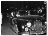 Anni '60 - Sfilata di auto in pineta (Arch. Ediz. Comiedit)