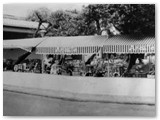 1955 - Il bar 'Calderini' con giardino e dietro la pensione 'Daniela' di Estevan Faccenda (Arch. S. Faccenda) 