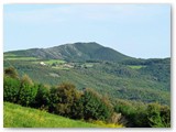 Il Monte Pelato da Nibbiaia