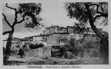 1917_castello-mediceo.jpg (44926 byte)