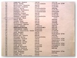 Elenco nominativo morti in guerra, dispersi, irreperibili del Comune di Rosignano M.mo (pagina 2 di 3).