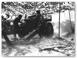 Luglio 1944 - Batteria del 522 Field Artillery Battalion in azione sul fronte di Rosignano.