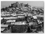 Sotto la neve il 10 gennaio 1985  (P. Pagnini) 
