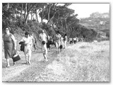 1969 - Escursione guidata nel parco