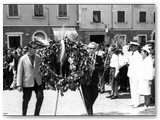 La corona ai Caduti in piazza Carducci a Rosignano M.mo