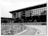 1980 - Il Palazzetto dello Sport in via Pisacane a Rosignano Solvay