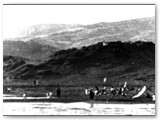 1916 - Il Monte alla Rena in zona 'Lo Scoglietto'