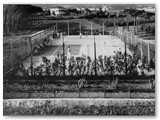 1930 - Primo campo da tennis ai Canottieri del Lillatro. Sul fondo villa Morgantini e la chiesa