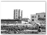1963 - Spiaggia libera e 'mare di scoglio'