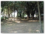 Il parco ricco di lecci che conserva numerosi reperti archeologici provenienti da S.Gaetano. 
