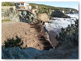 Alghe sulla spiaggia